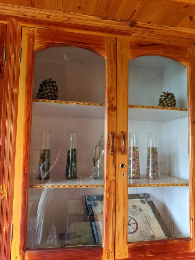 Summer Cottages Manali  Luaran gambar